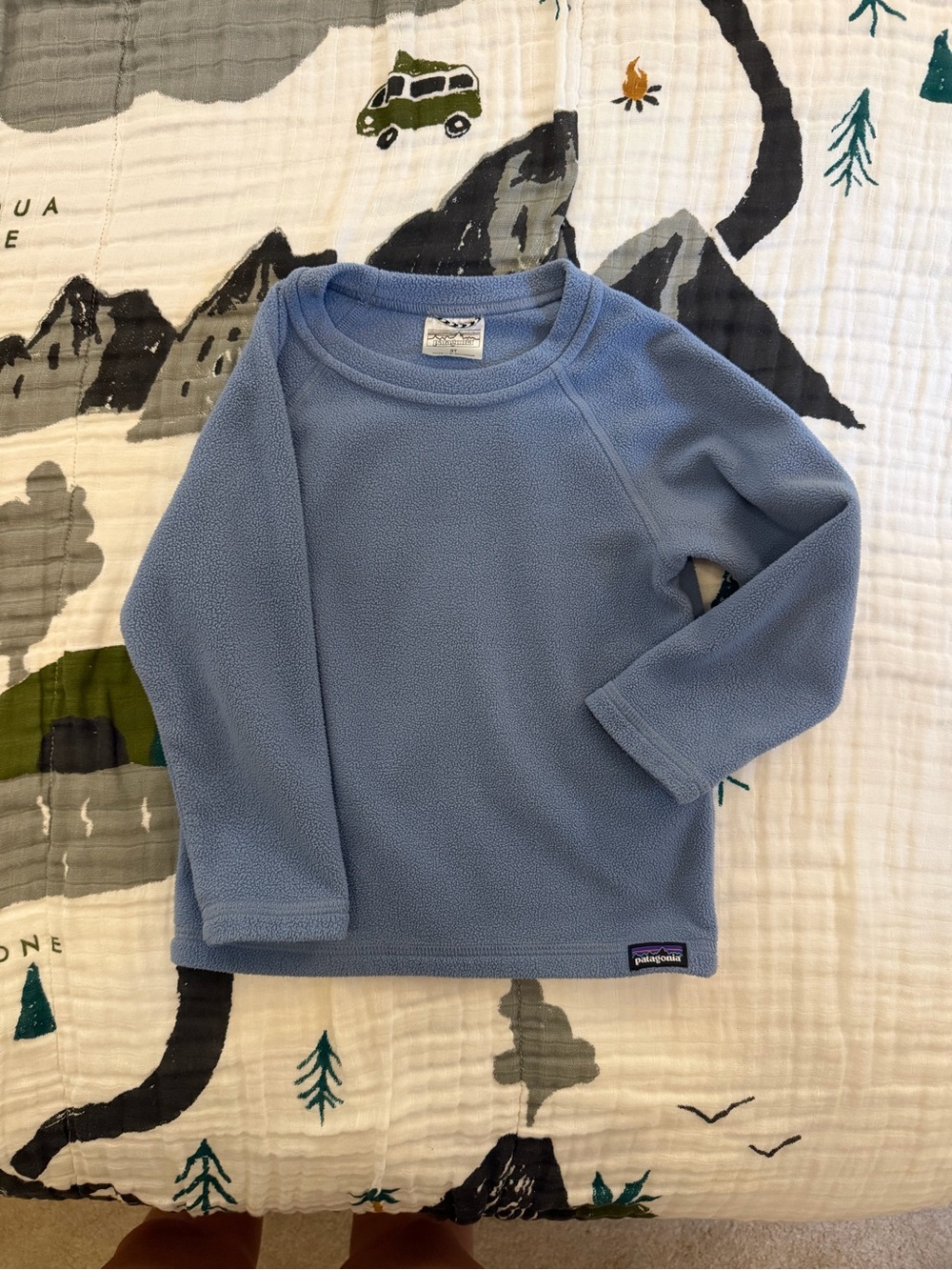 Patagonia Light Blue Kids Fleece Pullover